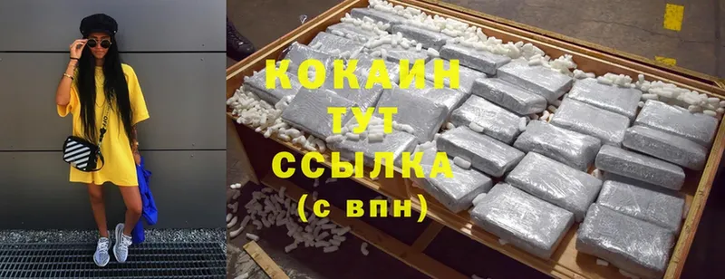 Кокаин FishScale  где купить наркоту  Северская 